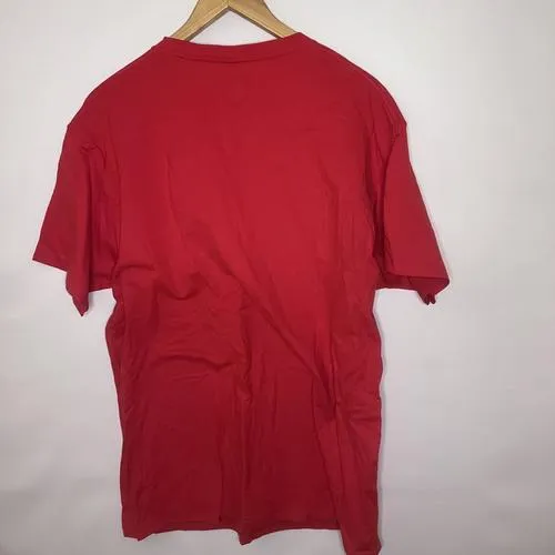 Champion mens Classic T-shirt, Classic Script T Shirt, Red, Large US